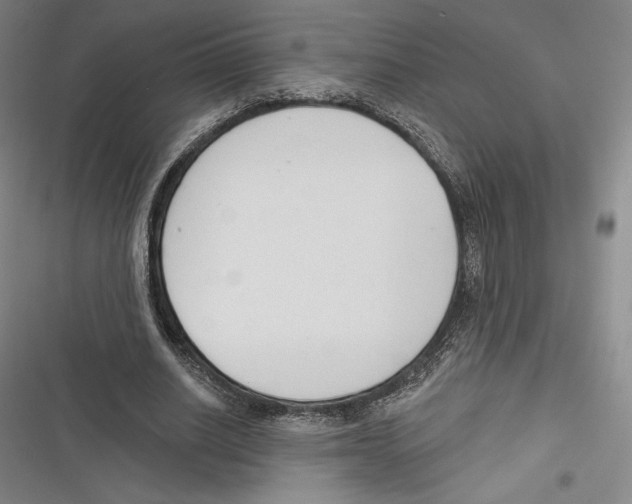 X0000116650630201001111230
