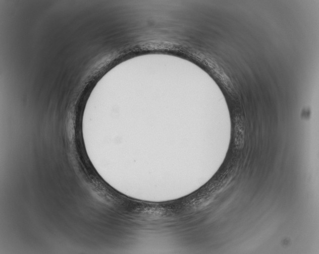 X0000116650631201001111230