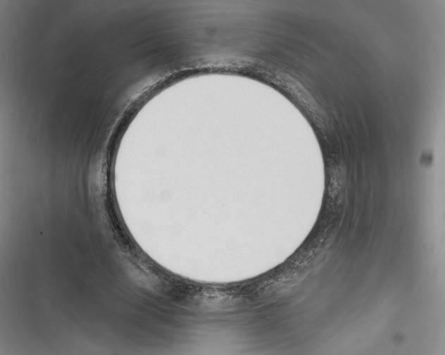 X0000116650632201001111230