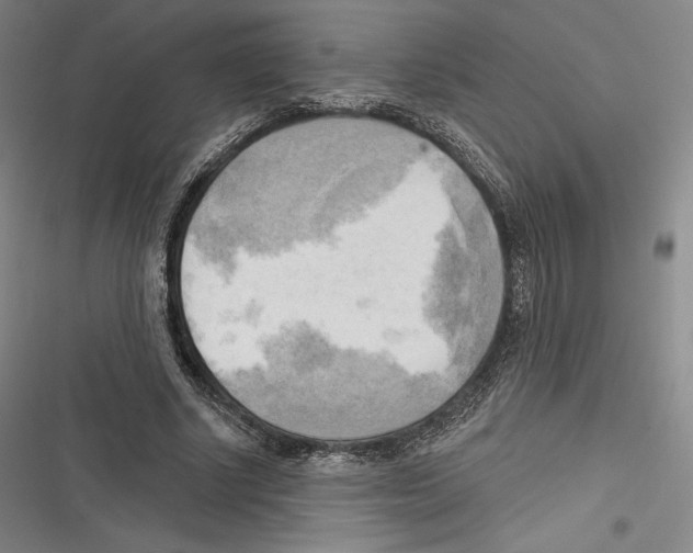 X0000116650634201001111230