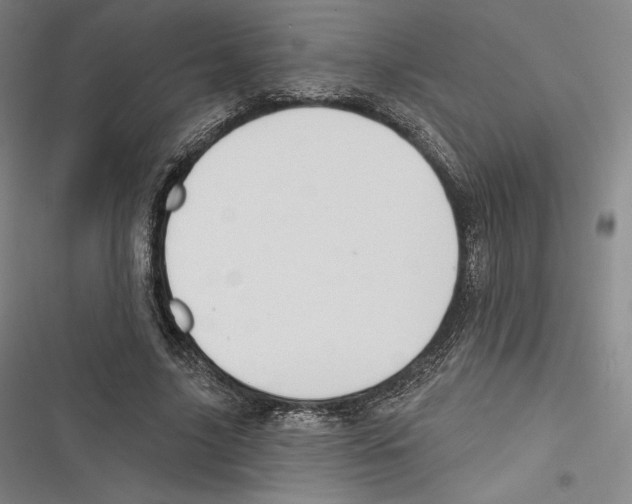 X0000116650635201001111230