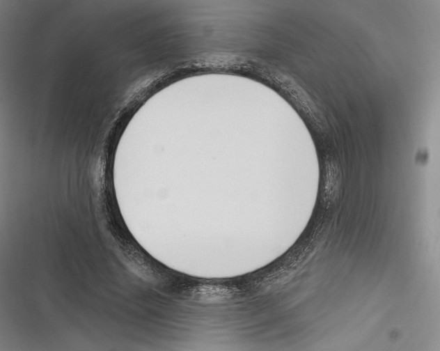 X0000116650636201001111230