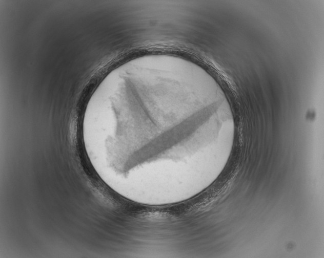 X0000116650637201001111230