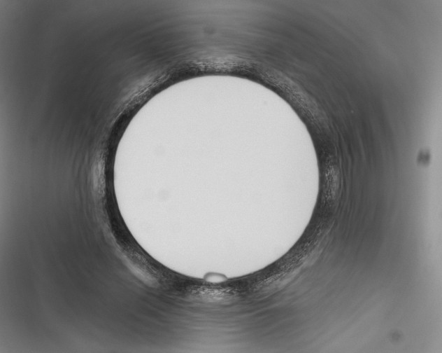 X0000116650638201001111230