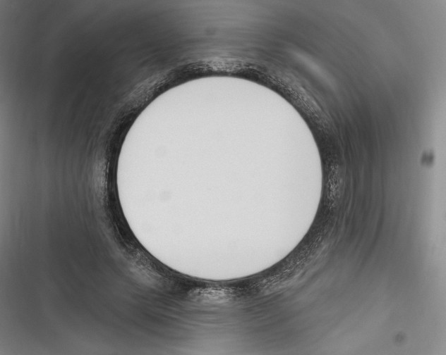 X0000116650639201001111230