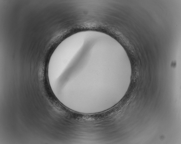 X0000116650640201001111230