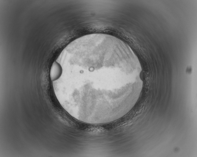 X0000116650642201001111230