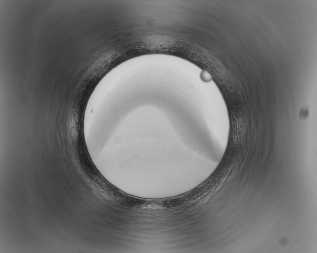 X0000116650644201001111230