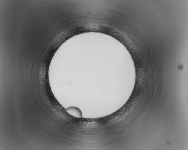 X0000116650645201001111230