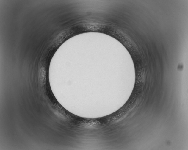 X0000116650646201001111230