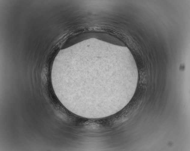 X0000116650648201001111230