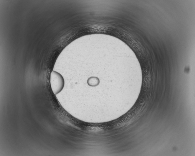 X0000116650649201001111230