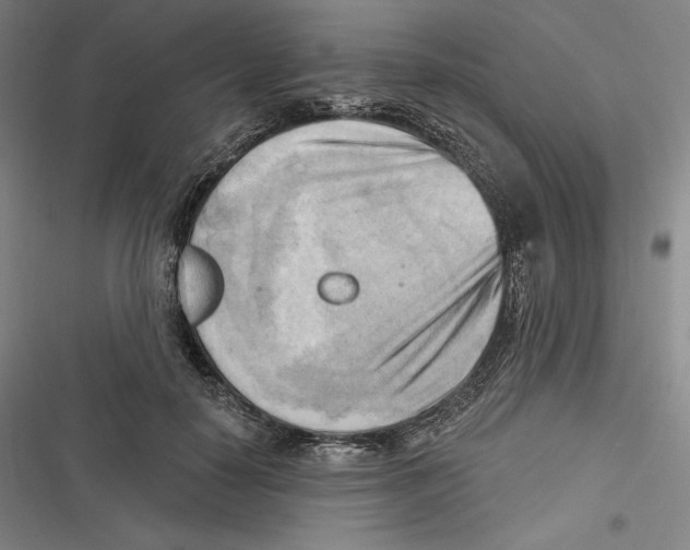 X0000116650650201001111230