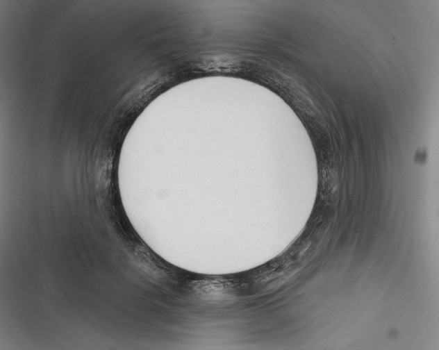 X0000116650652201001111230