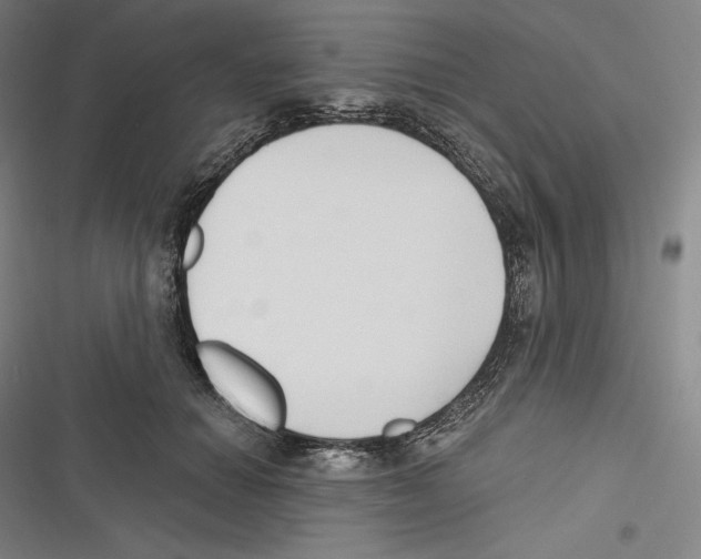 X0000116650654201001111230