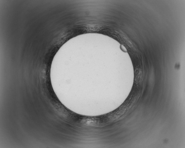 X0000116650655201001111230