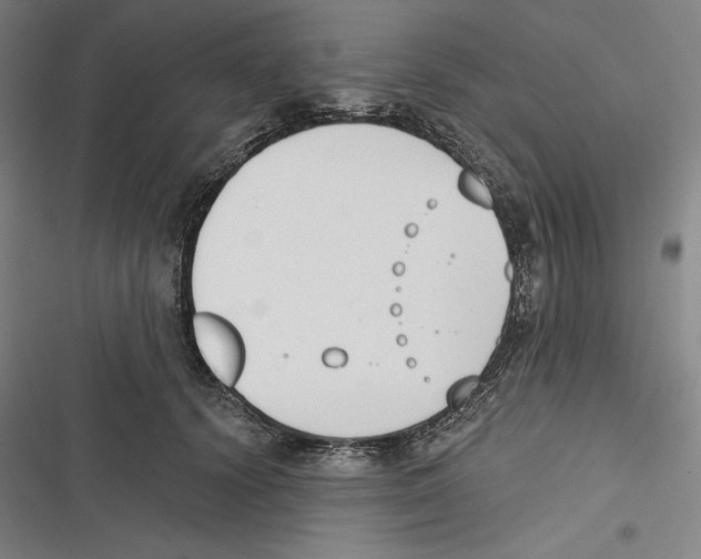 X0000116650656201001111230