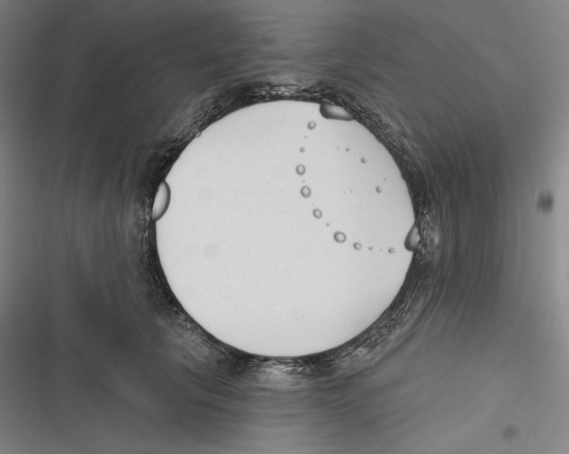 X0000116650657201001111230