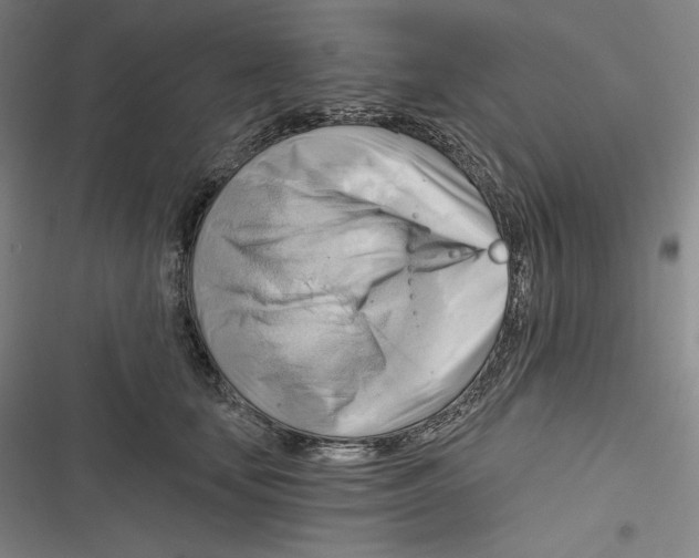 X0000116650659201001111230