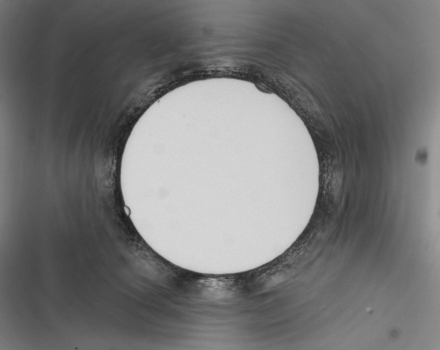 X0000116650660201001111230