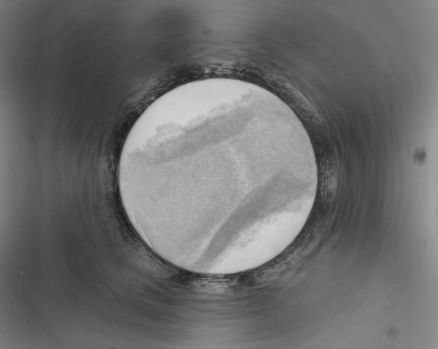 X0000116650661201001111230