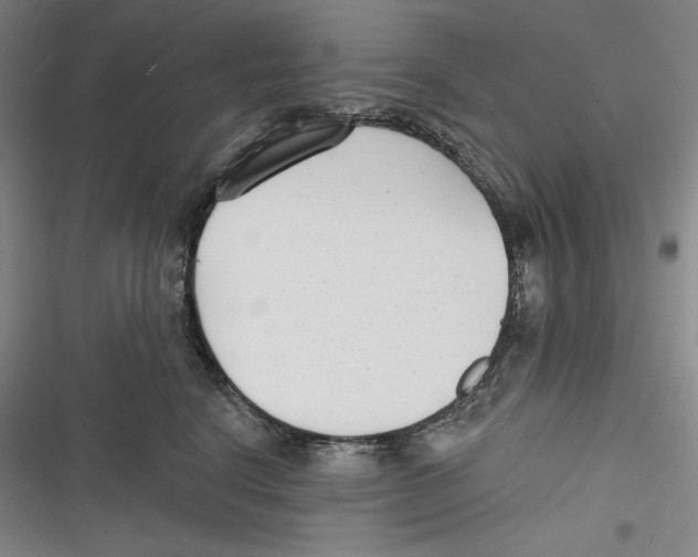 X0000116650664201001111230