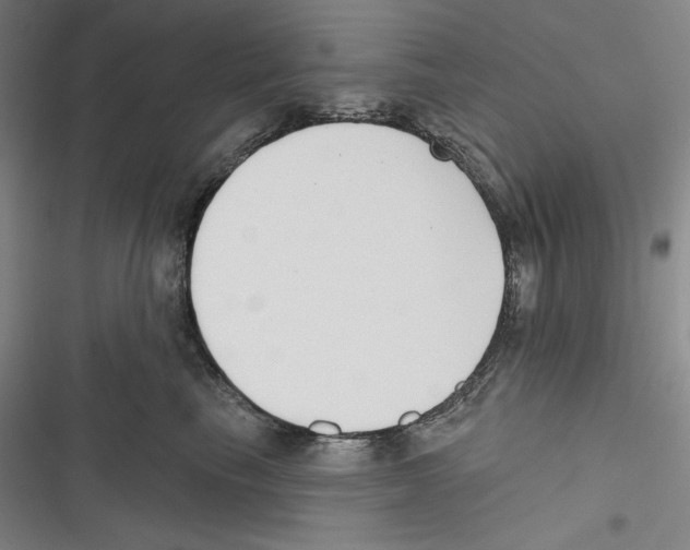 X0000116650665201001111230