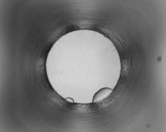 X0000116650667201001111230