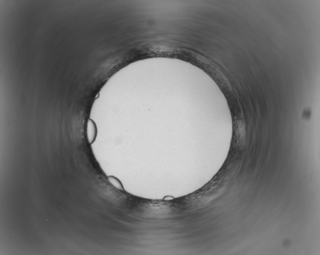 X0000116650668201001111230