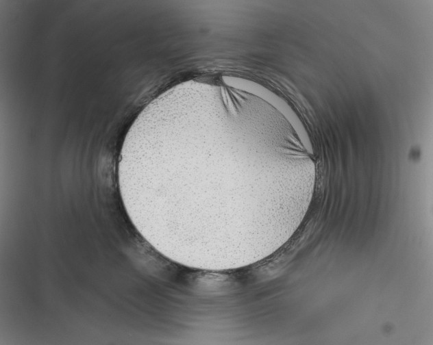 X0000116650669201001111230
