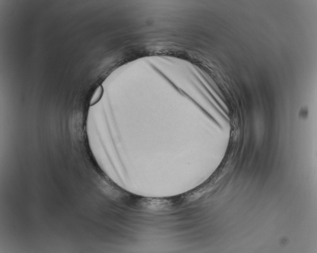 X0000116650670201001111230