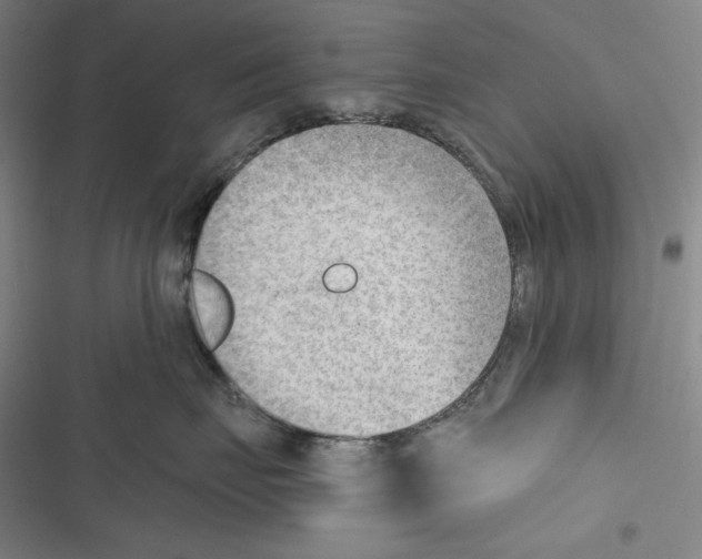 X0000116650671201001111230