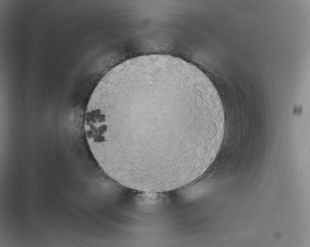 X0000116650672201001111230