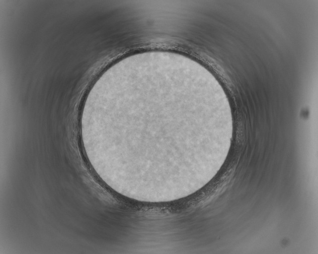 X0000116650673201001111229