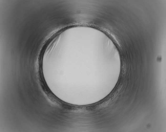 X0000116650674201001111229