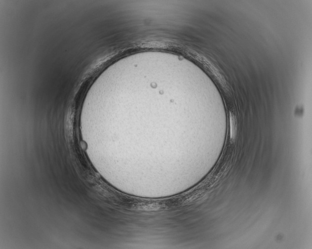 X0000116650675201001111229
