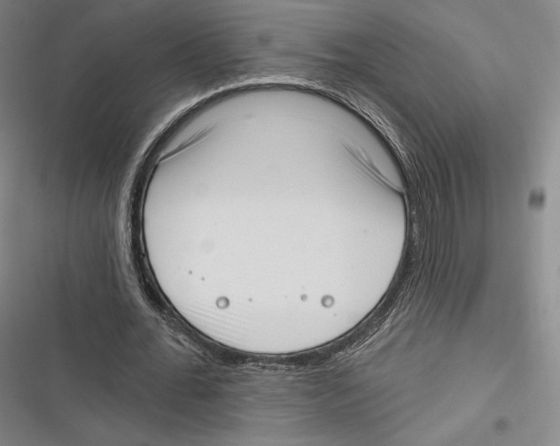 X0000116650676201001111229