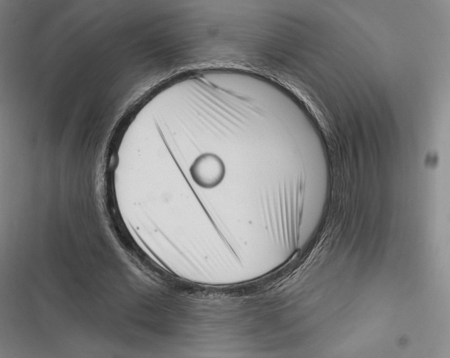 X0000116650677201001111229