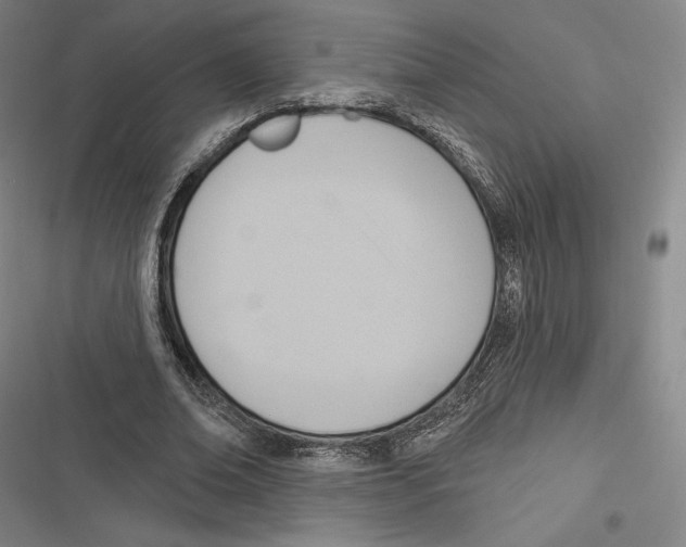 X0000116650678201001111229