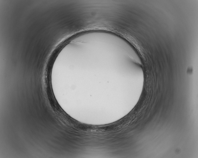 X0000116650680201001111229