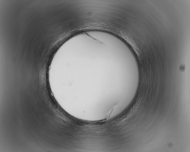 X0000116650681201001111229