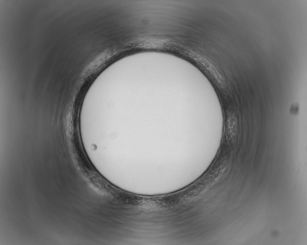 X0000116650682201001111229