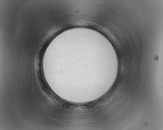 X0000116650683201001111229