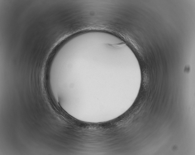 X0000116650684201001111229