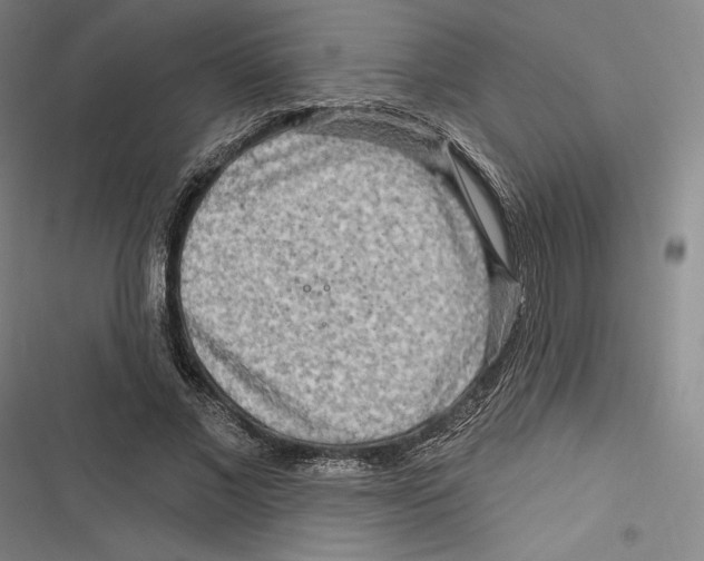 X0000116650685201001111229