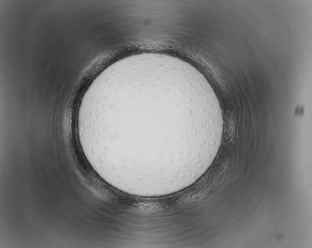 X0000116650686201001111229