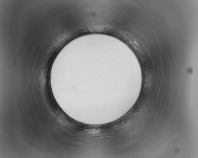 X0000116650687201001111229