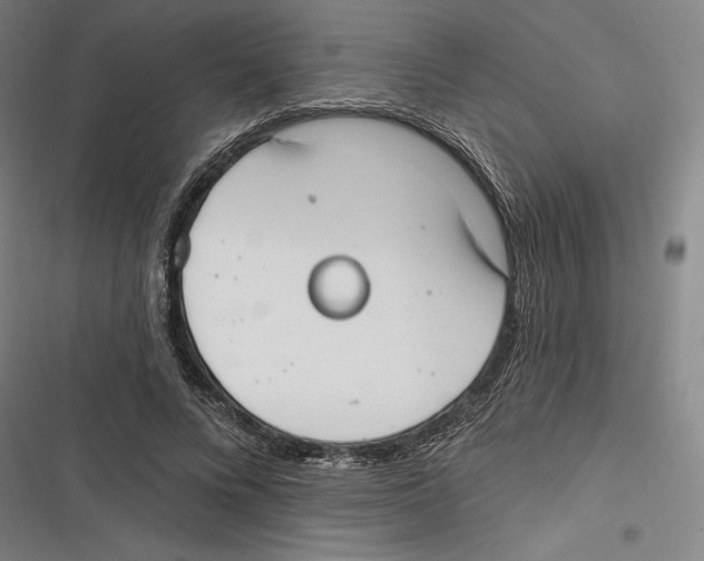 X0000116650688201001111229