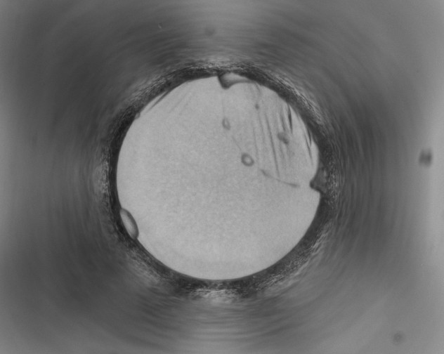 X0000116650689201001111229