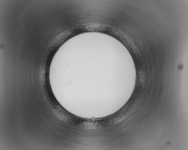 X0000116650690201001111229